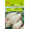 Semillas de Nabo