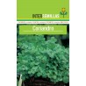 Cilantro Coriandro