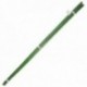 Tutor Varilla Bambú Plastificado Ø 8 - 10 mm. x 120 cm. (Paquete 10 Unidades)