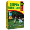 Semilla de Cesped resistente
