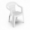Silla Respaldo Bajo Resina Monobloc, Color Blanco, Modelo Lyra