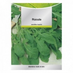 Semillas Rucula (9 gramos) Semillas Verduras, Horticultura, Horticola, Semillas Huerto.