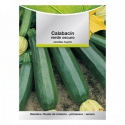 Semillas Calabacin Verde Oscuro (5 gramos) Semillas Verduras, Horticultura, Horticola, Semillas