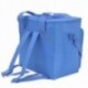Bolsa / Mochila Termica Porta Alimentos Nevera 15 Litros Forro Interior