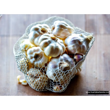 Ajos de siembra. (bolsa 1 kg)