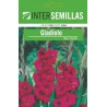 Bulbo Gladiolo rosa
