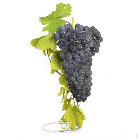 Parra uva tinta Syrah