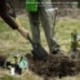 Pala PequeÃ±a Mango Madera Punta Mango Anilla 75 cm. minipala, Pala Jardineria,transplantes, Camping, MontaÃ±ismo, Acampada